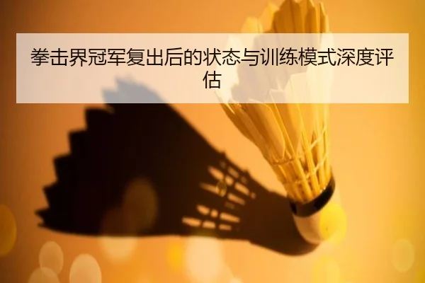 拳击界冠军复出后的状态与训练模式深度评估